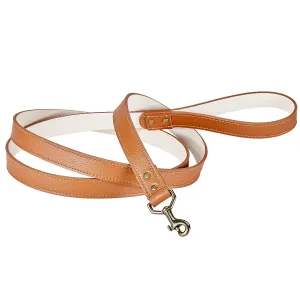 6" Feet Dog Leash