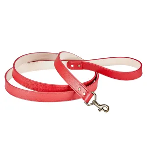 6" Feet Dog Leash