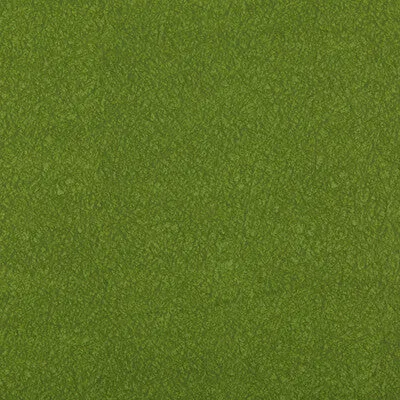 Ames-Moss