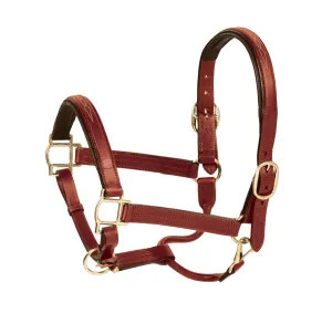 Aramas Fancy Square Raised Padded Halter