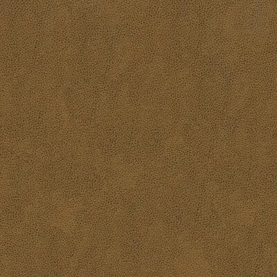 Balara-616