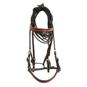 Black bridle with red accents