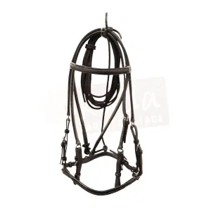 Black Bridle with Red Accents