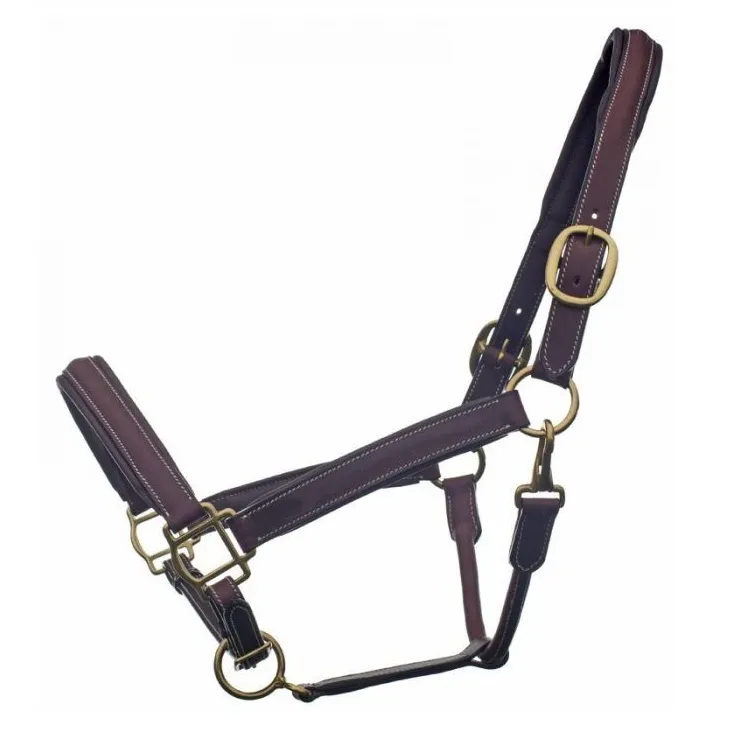 Bromont Padded Leather Halter   FREE Custom Name Tag