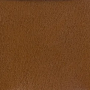 Celine-6