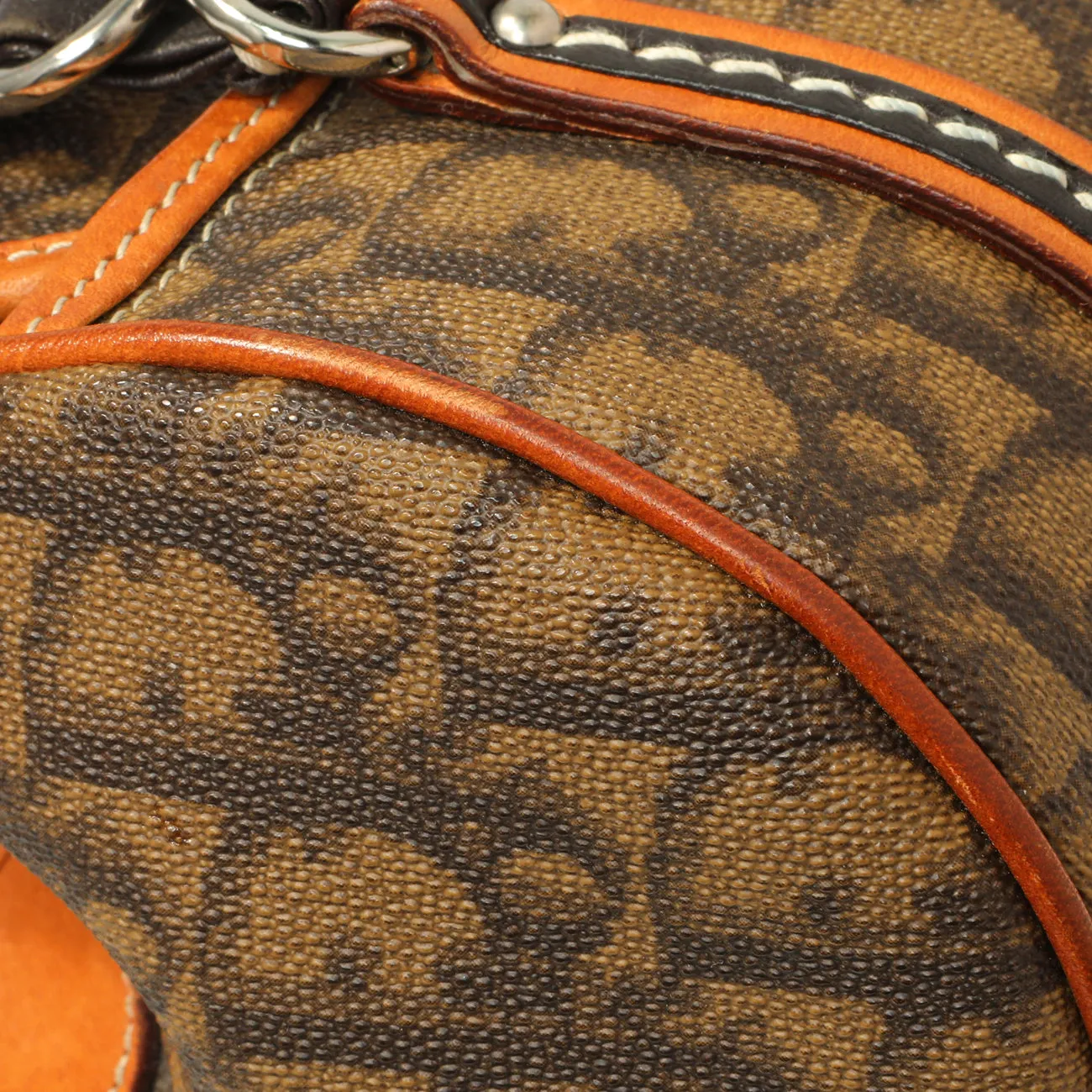 Christian Dior Monogram Romantique Trotter Flap