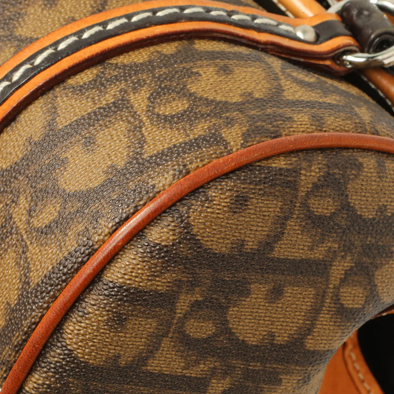 Christian Dior Monogram Romantique Trotter Flap