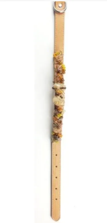 Citrine Healing Dog Collar