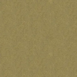 Debut-Pumice