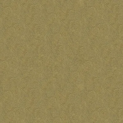 Debut-Pumice