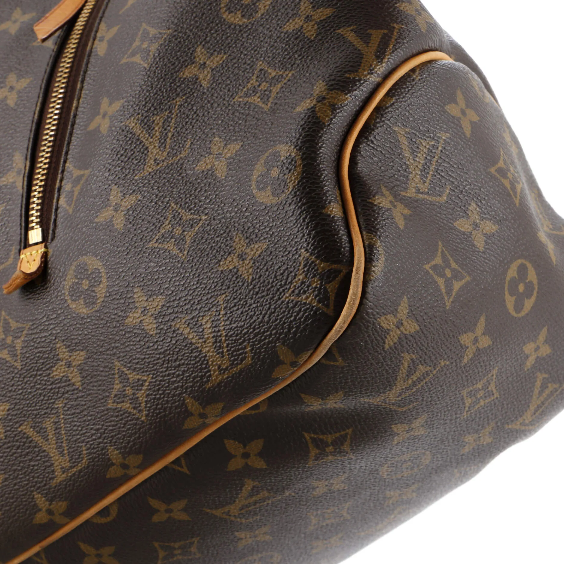 Designer Delightful Handbag Monogram Canvas GM
