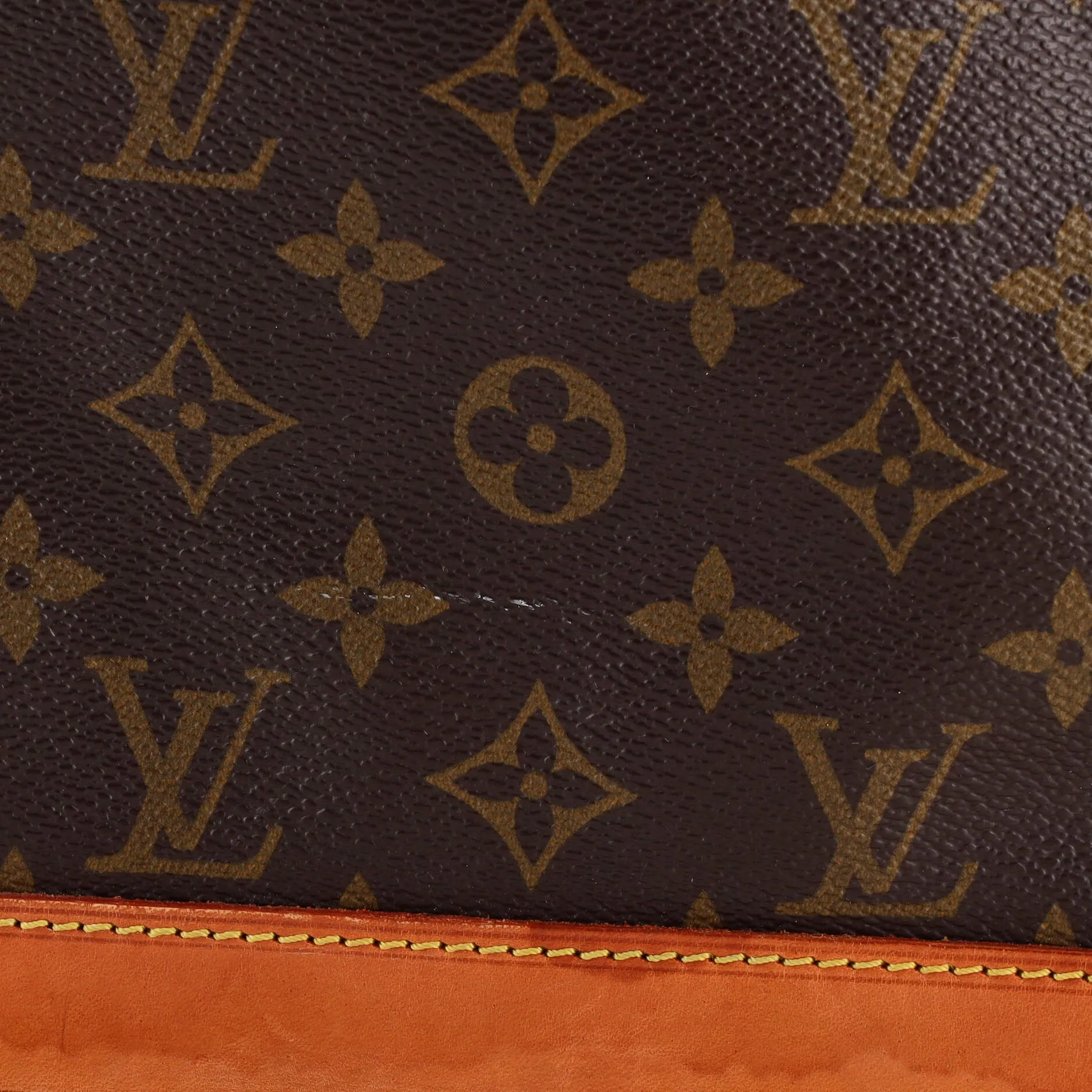 Designer Noe Handbag Monogram Canvas Large