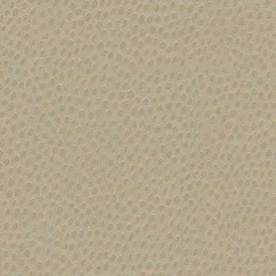 Dewdrops-Sand