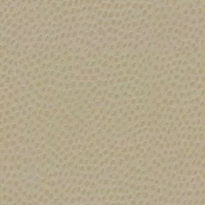 Dewdrops-Sand