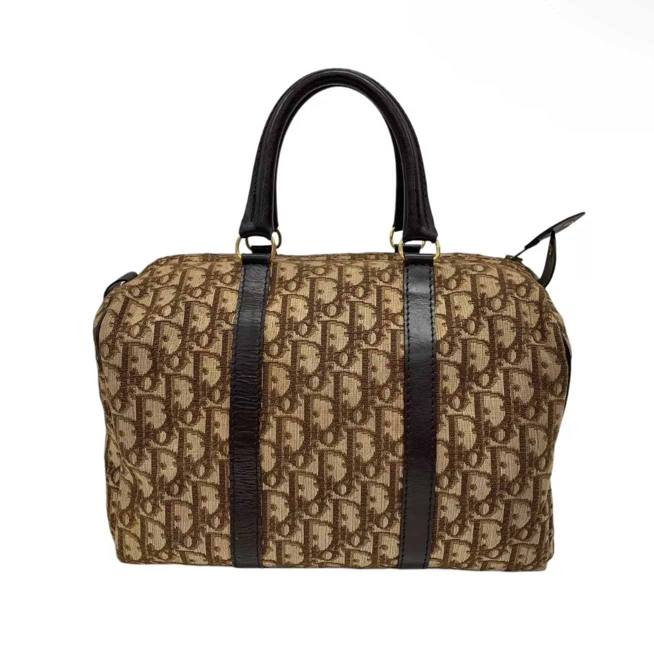 DIOR boston trotter bag