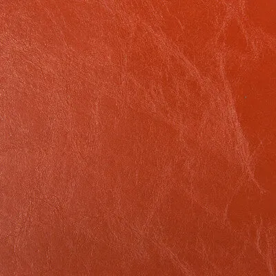 Duncan-24