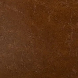 Duncan-6