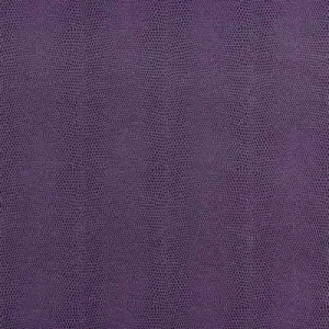 Epitome-Plum