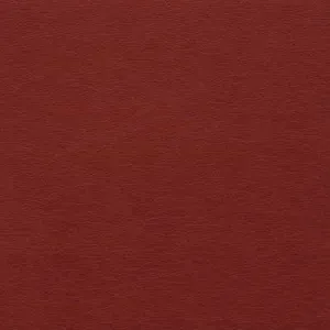 Gato-19