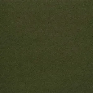 Genslar-3