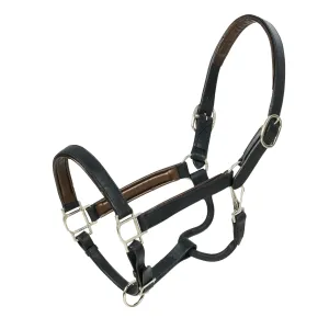 HK Americana Flat Padded Halter - Pony 3/4 Inch