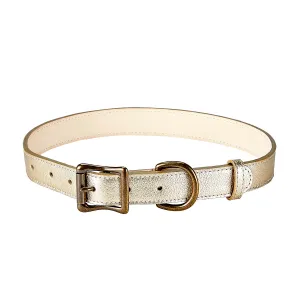 Large Dog Collar