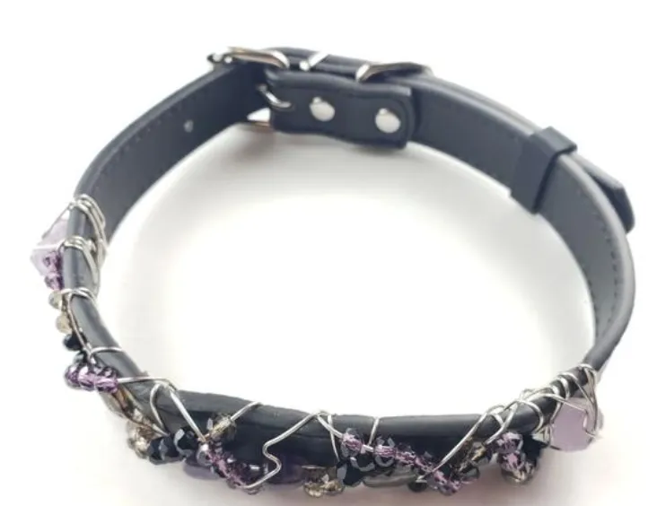 Large Dog Collar