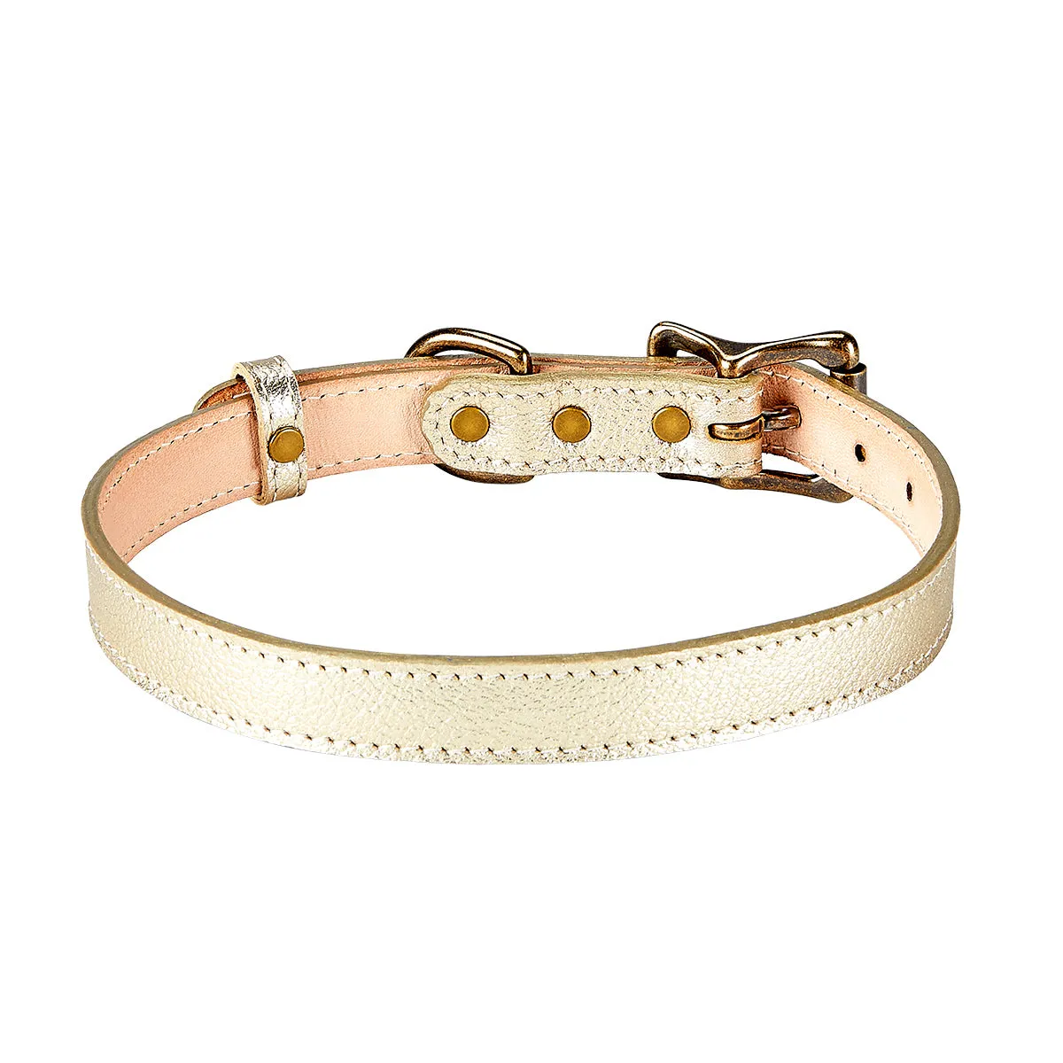 Large Dog Collar