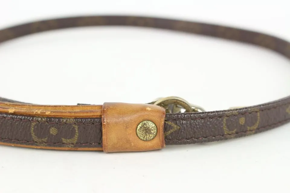 Louis Vuitton Monogram Baxter Leash and Collar Set 1012lv33