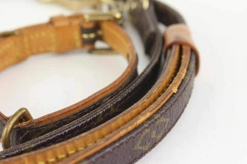 Louis Vuitton Monogram Baxter Leash and Collar Set 1012lv33