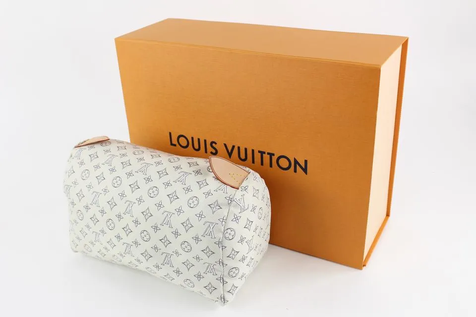 Louis Vuitton Ultra Rare Monogram Pillow Bag Shaper Stuffing 10LVS1218