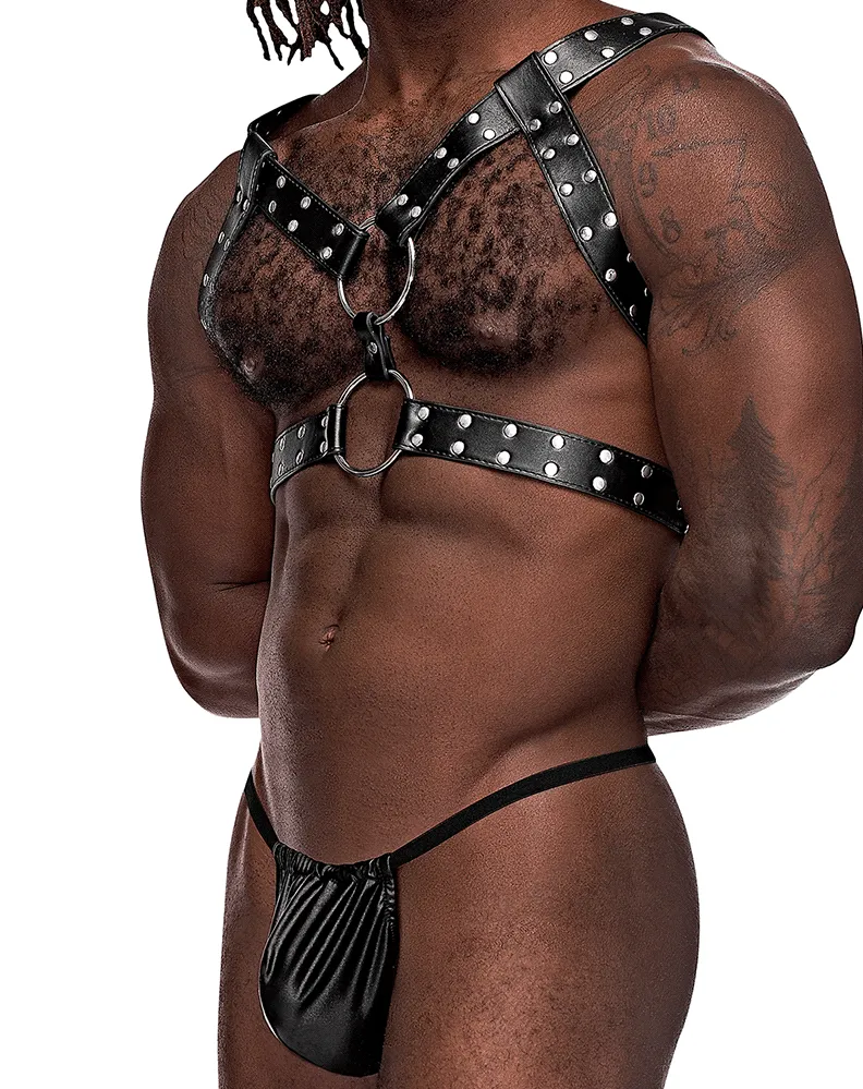 Male Power 591-266 Leather Gemini Harness Black