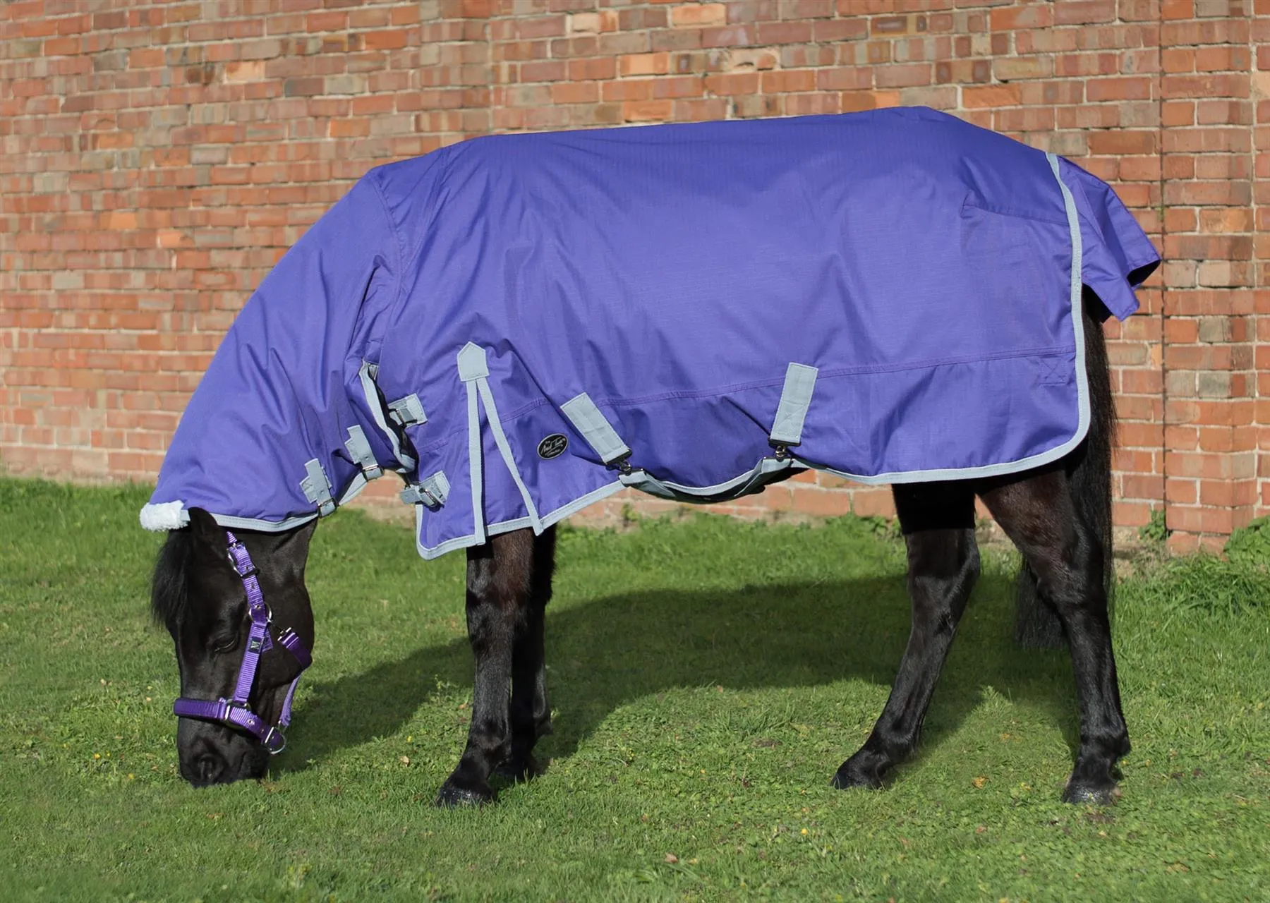 Mark Todd Mediumweight Pony Turnout Combo Rug