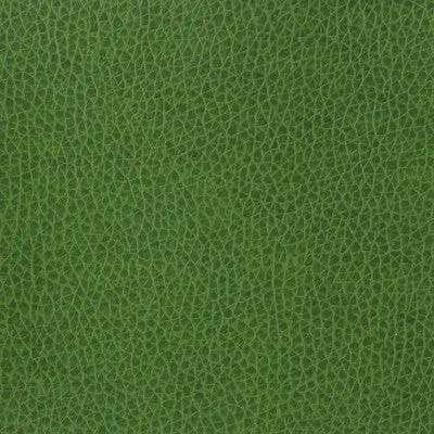 Matter-3