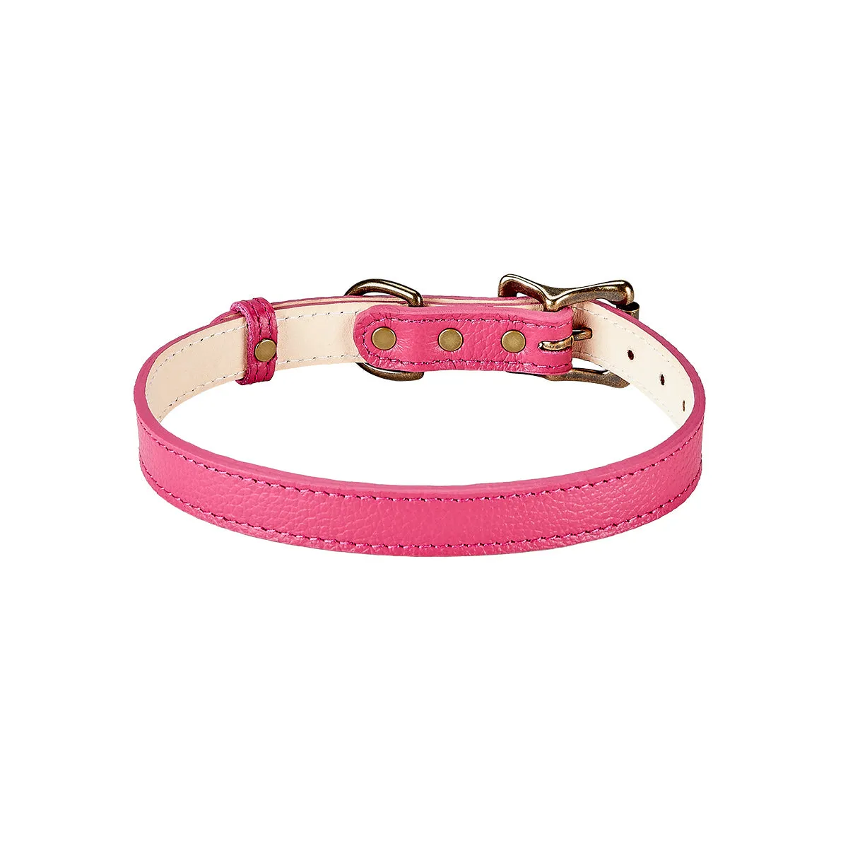 Medium Dog Collar