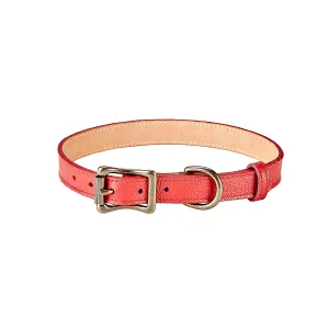 Medium Dog Collar