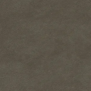 Metals-Pewter