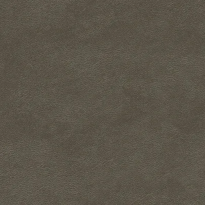 Metals-Pewter