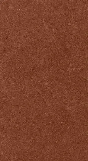 Mica-24