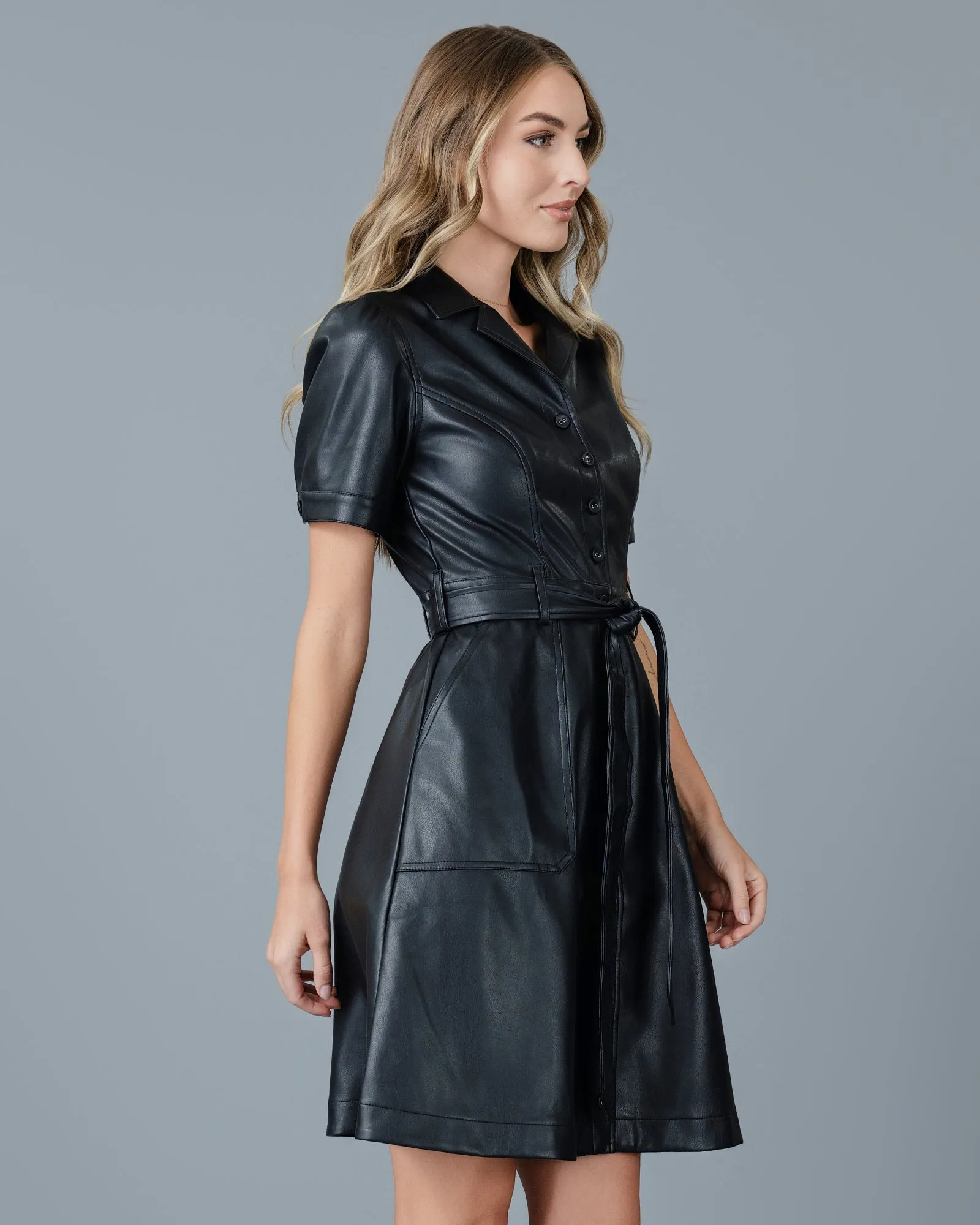 Nicole Dress