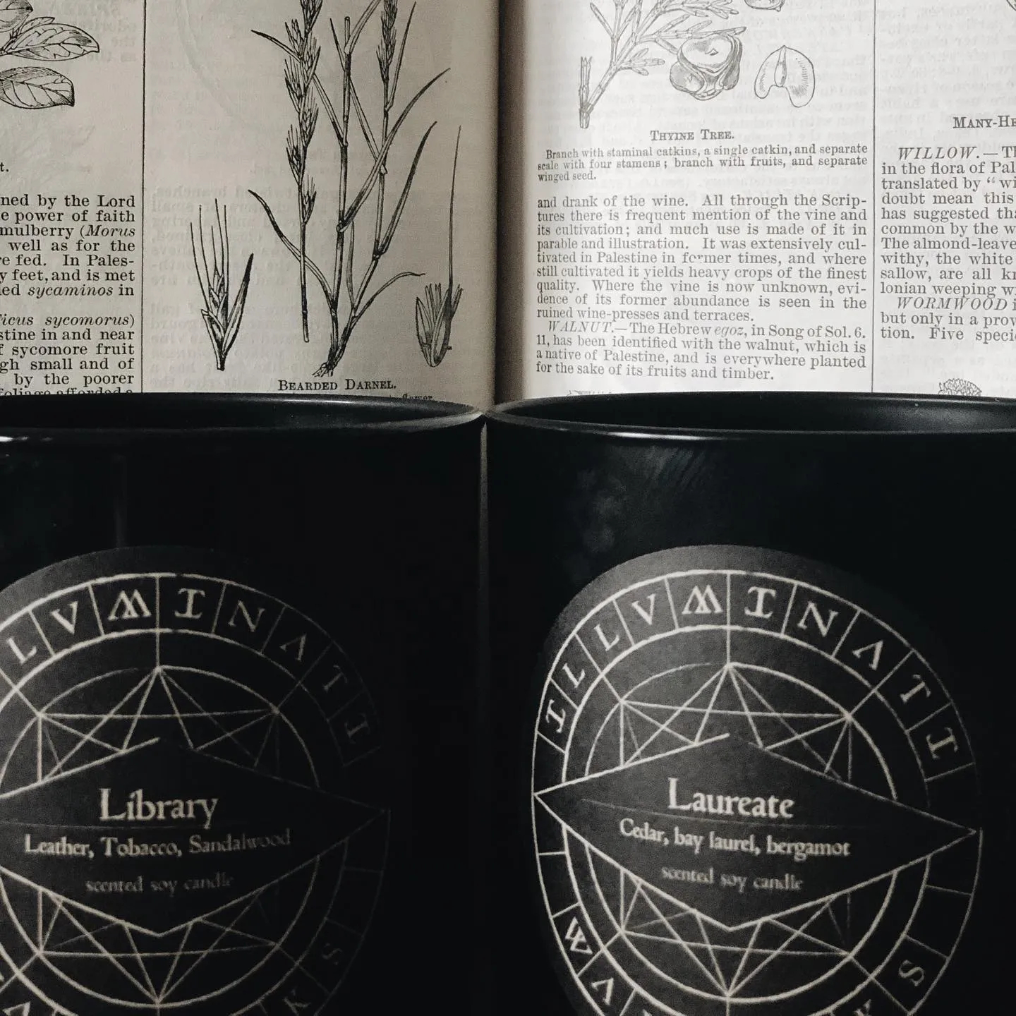 NO II. LIBRARY CANDLE
