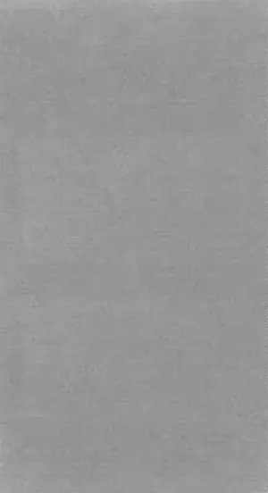 Novasuede-121