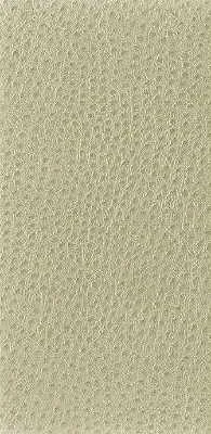 Nuostrich-116