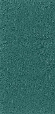 Nuostrich-35