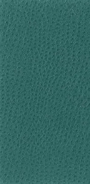 Nuostrich-35