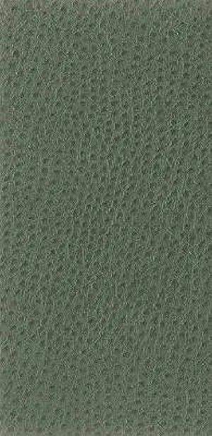 Nuostrich-3