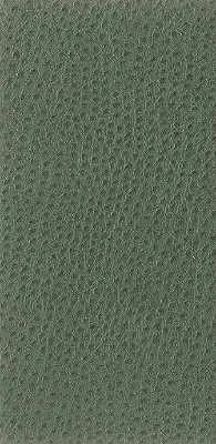 Nuostrich-3