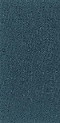 Nuostrich-5