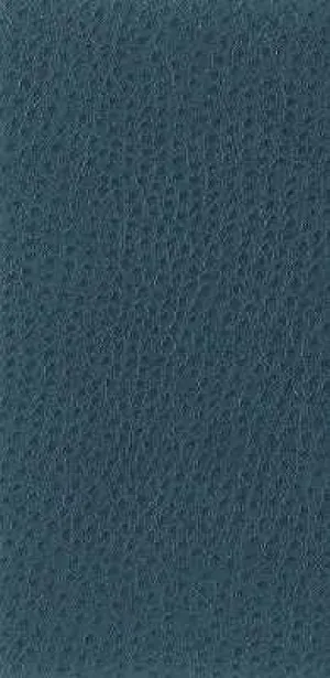 Nuostrich-5