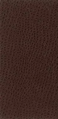 Nuostrich-6